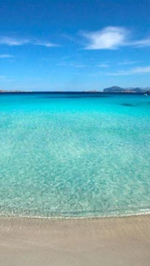 Case Vacanze La Conia Cannigione Exteriör bild