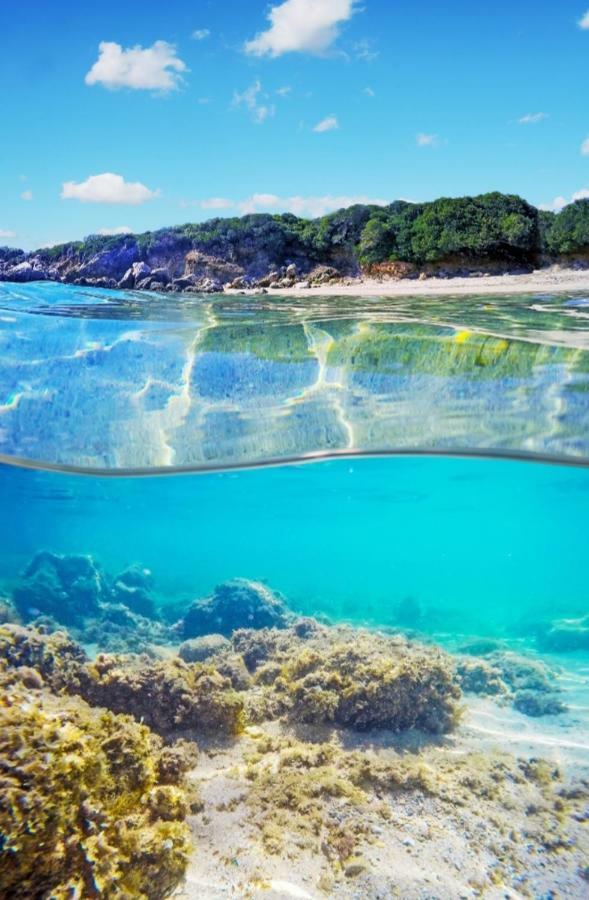 Case Vacanze La Conia Cannigione Exteriör bild